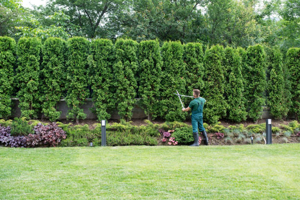 Best Lawn Irrigation Installation and Maintenance  in Quitman, MS